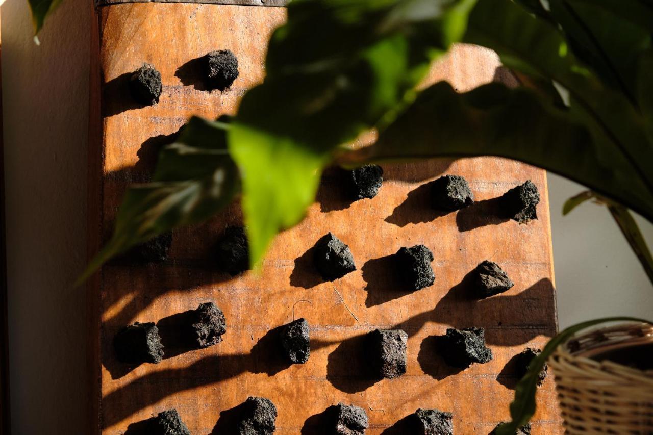 Vil·la Ecofinca Aulaga