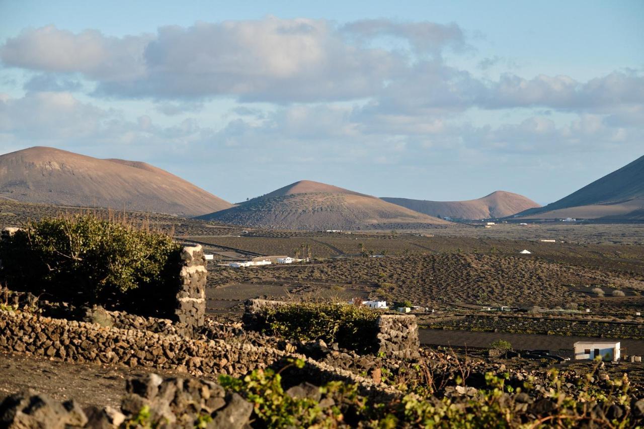 Ecofinca Aulaga Villa *